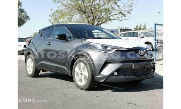 Buy Import Toyota C-HR Other Car in Import - Dubai in Central Kenya Buy Import Toyota C-HR Other Car in Import - Dubai in Central Kenya