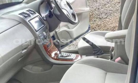 Oofamaa Toyota Axio Other Makiinaa iti Nairobi keessatti Nairobi keessatti Oofamaa Toyota Axio Other Makiinaa iti Nairobi keessatti Nairobi keessatti