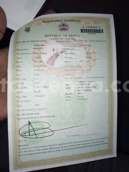 Big with watermark 49319532 228398911379678 5809513171345473536 n