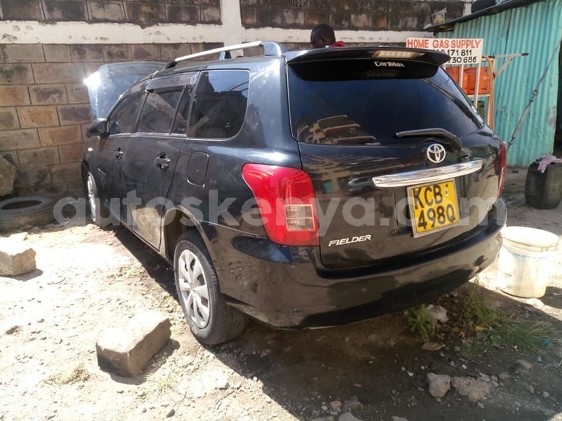 Big with watermark 49625856 228239341395635 3661528639964446720 n