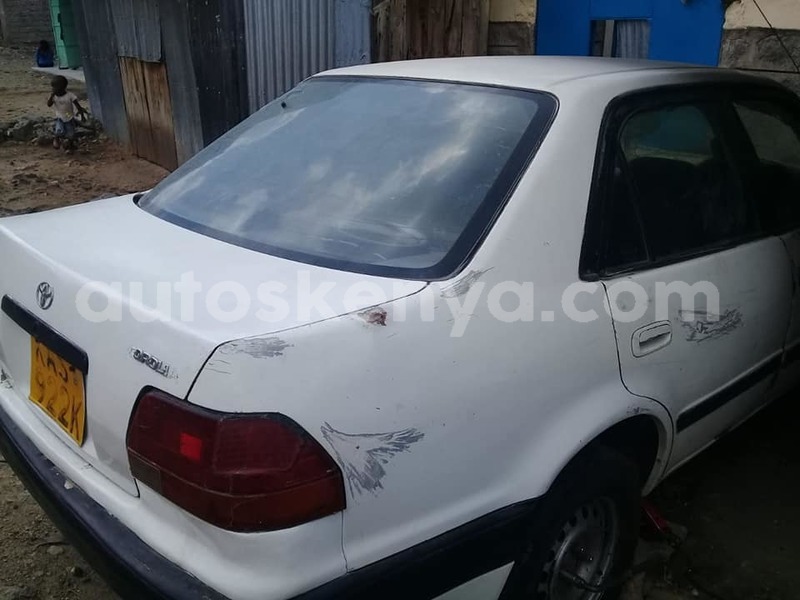 Big with watermark 49815633 227932118093024 5165371426743517184 n