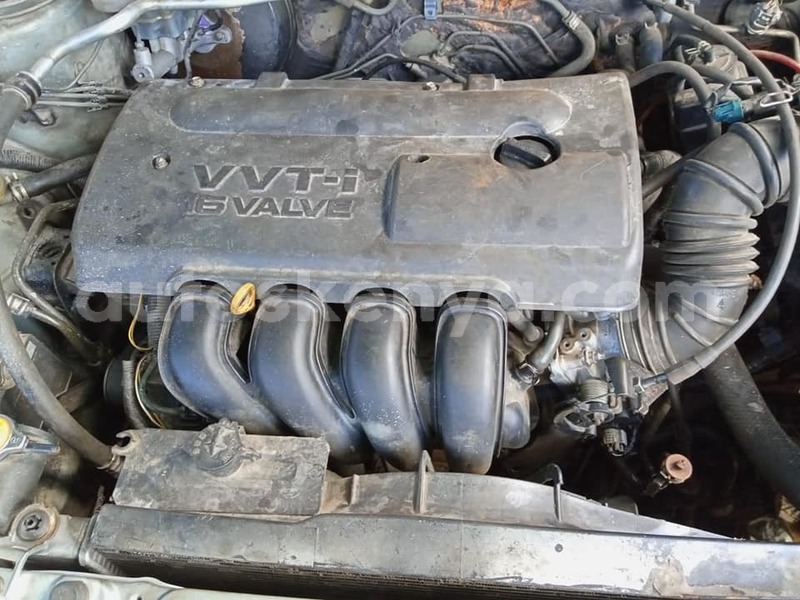 Big with watermark 49708703 227751711444398 4697720191960743936 n