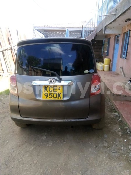 Big with watermark 49671229 226692511550318 4602286963536429056 n