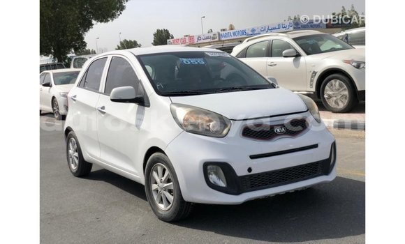Imported Kia Picanto White Makiinaa iti Import - Dubai keessatti Central Kenya keessatti Imported Kia Picanto White Makiinaa iti Import - Dubai keessatti Central Kenya keessatti