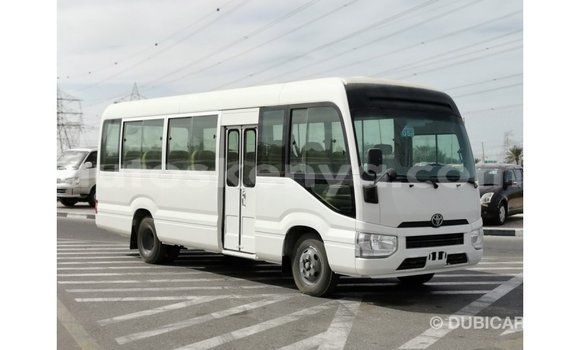 Nunua Imported Toyota Coaster Nyeupe Gari ndani ya Import - Dubai nchini Kati Kenya Nunua Imported Toyota Coaster Nyeupe Gari ndani ya Import - Dubai nchini Kati Kenya