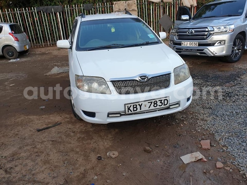 Big with watermark 49436011 595222384253568 7067153945793134592 n