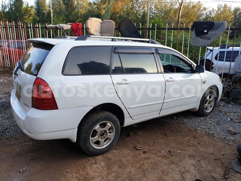 Big with watermark 49519647 595222350920238 1174710835772129280 n