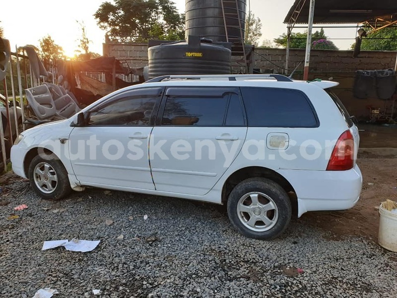 Big with watermark 49656299 595222330920240 8313921795782606848 n