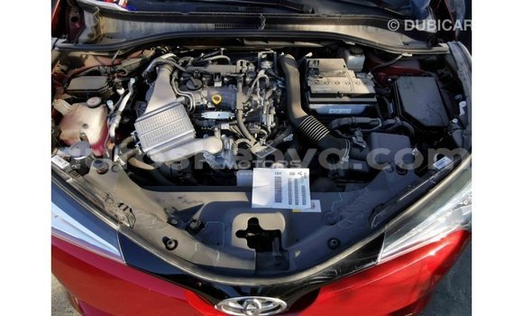 Nunua Imported Toyota C-HR Nyekundu Gari ndani ya Import - Dubai nchini Kati Kenya Nunua Imported Toyota C-HR Nyekundu Gari ndani ya Import - Dubai nchini Kati Kenya
