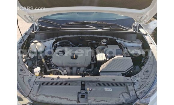 Buy Import Hyundai Tucson White Car in Import - Dubai in Central Kenya Buy Import Hyundai Tucson White Car in Import - Dubai in Central Kenya