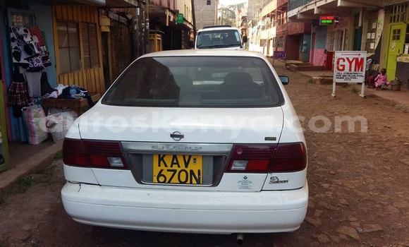 Nunua Ilio tumika Nissan Sunny Nyeupe Gari ndani ya Nairobi nchini Nairobi Nunua Ilio tumika Nissan Sunny Nyeupe Gari ndani ya Nairobi nchini Nairobi