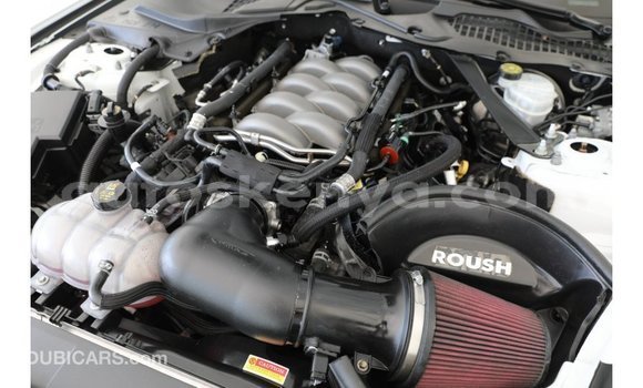 Buy Import Ford Mustang White Car in Import - Dubai in Central Kenya Buy Import Ford Mustang White Car in Import - Dubai in Central Kenya