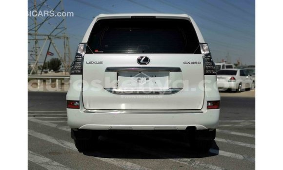 Imported Lexus GX White Makiinaa iti Import - Dubai keessatti Central Kenya keessatti Imported Lexus GX White Makiinaa iti Import - Dubai keessatti Central Kenya keessatti