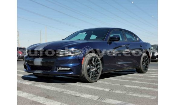 Buy Import Dodge Charger Blue Car in Import - Dubai in Central Kenya Buy Import Dodge Charger Blue Car in Import - Dubai in Central Kenya