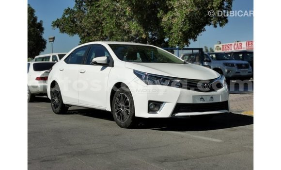 Nunua Imported Toyota Corolla Nyeupe Gari ndani ya Import - Dubai nchini Kati Kenya Nunua Imported Toyota Corolla Nyeupe Gari ndani ya Import - Dubai nchini Kati Kenya