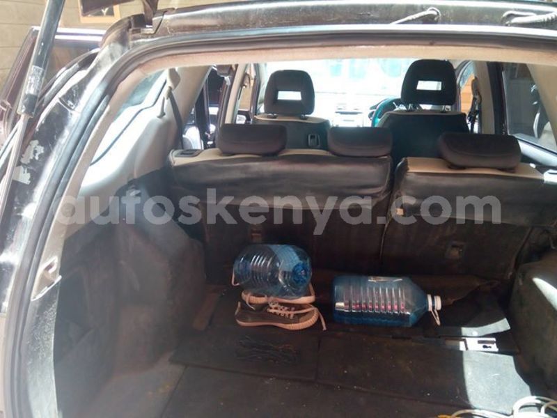 Big with watermark 50666081 10157041833818307 4575150707325272064 o