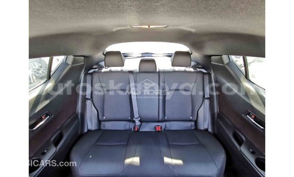 Buy Import Toyota C-HR Other Car in Import - Dubai in Central Kenya Buy Import Toyota C-HR Other Car in Import - Dubai in Central Kenya