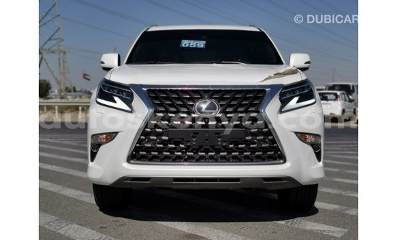 Buy Import Lexus GX White Car in Import - Dubai in Central Kenya Buy Import Lexus GX White Car in Import - Dubai in Central Kenya
