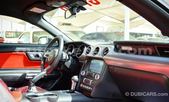 Nunua Imported Ford Mustang Nyeusi Gari ndani ya Import - Dubai nchini Kati Kenya Nunua Imported Ford Mustang Nyeusi Gari ndani ya Import - Dubai nchini Kati Kenya