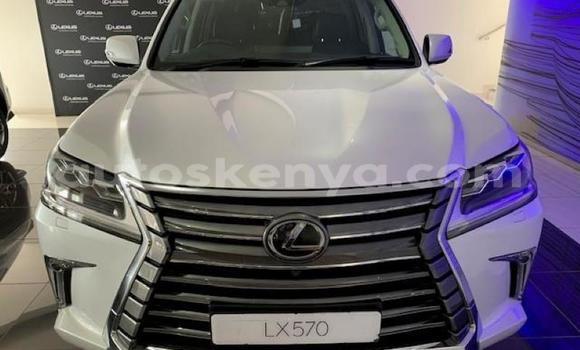 Nunua Ilio tumika Lexus LX 570 Nyeupe Gari ndani ya Nairobi nchini Nairobi Nunua Ilio tumika Lexus LX 570 Nyeupe Gari ndani ya Nairobi nchini Nairobi