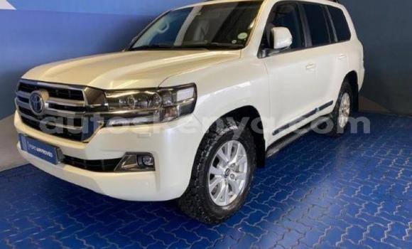 Oofamaa Toyota Land Cruiser White Makiinaa iti Bissil keessatti Nairobi keessatti Oofamaa Toyota Land Cruiser White Makiinaa iti Bissil keessatti Nairobi keessatti