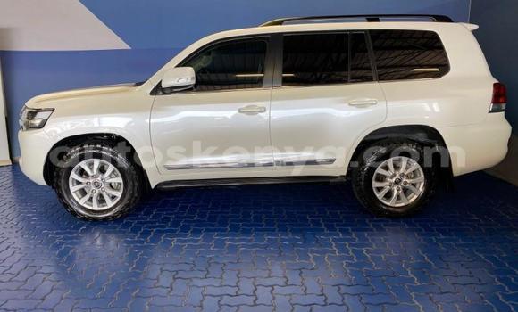 Oofamaa Toyota Land Cruiser White Makiinaa iti Bissil keessatti Nairobi keessatti Oofamaa Toyota Land Cruiser White Makiinaa iti Bissil keessatti Nairobi keessatti