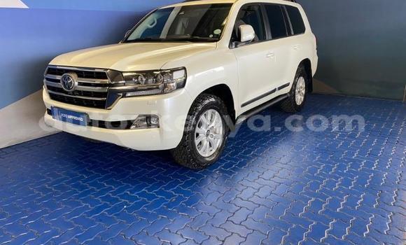 Oofamaa Toyota Land Cruiser White Makiinaa iti Bissil keessatti Nairobi keessatti Oofamaa Toyota Land Cruiser White Makiinaa iti Bissil keessatti Nairobi keessatti