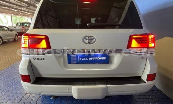 Oofamaa Toyota Land Cruiser White Makiinaa iti Bissil keessatti Nairobi keessatti Oofamaa Toyota Land Cruiser White Makiinaa iti Bissil keessatti Nairobi keessatti