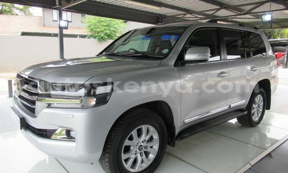Nunua Ilio tumika Toyota Land Cruiser Fedha Gari ndani ya Mombasa nchini Kenya ya Pwani Nunua Ilio tumika Toyota Land Cruiser Fedha Gari ndani ya Mombasa nchini Kenya ya Pwani