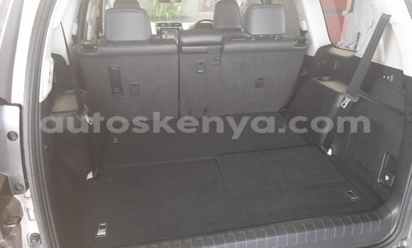 Oofamaa Toyota Land Cruiser Prado Silver Makiinaa iti Mombasa keessatti Coastal Kenya keessatti Oofamaa Toyota Land Cruiser Prado Silver Makiinaa iti Mombasa keessatti Coastal Kenya keessatti