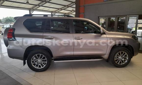 Oofamaa Toyota Land Cruiser Prado Silver Makiinaa iti Mombasa keessatti Coastal Kenya keessatti Oofamaa Toyota Land Cruiser Prado Silver Makiinaa iti Mombasa keessatti Coastal Kenya keessatti