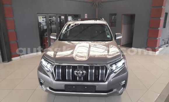 Oofamaa Toyota Land Cruiser Prado Silver Makiinaa iti Mombasa keessatti Coastal Kenya keessatti Oofamaa Toyota Land Cruiser Prado Silver Makiinaa iti Mombasa keessatti Coastal Kenya keessatti