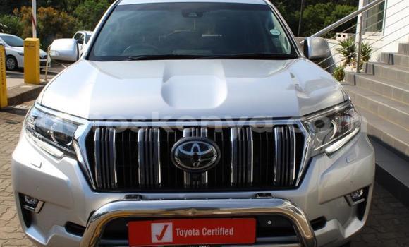 Nunua Ilio tumika Toyota Land Cruiser Prado Fedha Gari ndani ya Eldoret nchini Bonde la Ufafanuzi Nunua Ilio tumika Toyota Land Cruiser Prado Fedha Gari ndani ya Eldoret nchini Bonde la Ufafanuzi