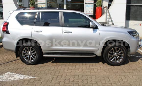 Nunua Ilio tumika Toyota Land Cruiser Prado Fedha Gari ndani ya Eldoret nchini Bonde la Ufafanuzi Nunua Ilio tumika Toyota Land Cruiser Prado Fedha Gari ndani ya Eldoret nchini Bonde la Ufafanuzi