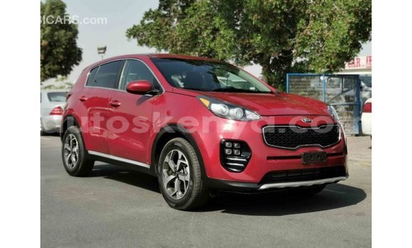 Buy Import Kia Sportage Red Car in Import - Dubai in Central Kenya Buy Import Kia Sportage Red Car in Import - Dubai in Central Kenya