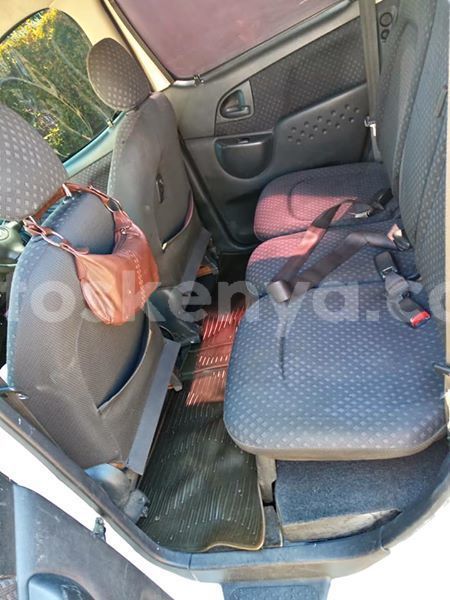 Big with watermark 51061435 2010235749094000 6972322055739932672 n