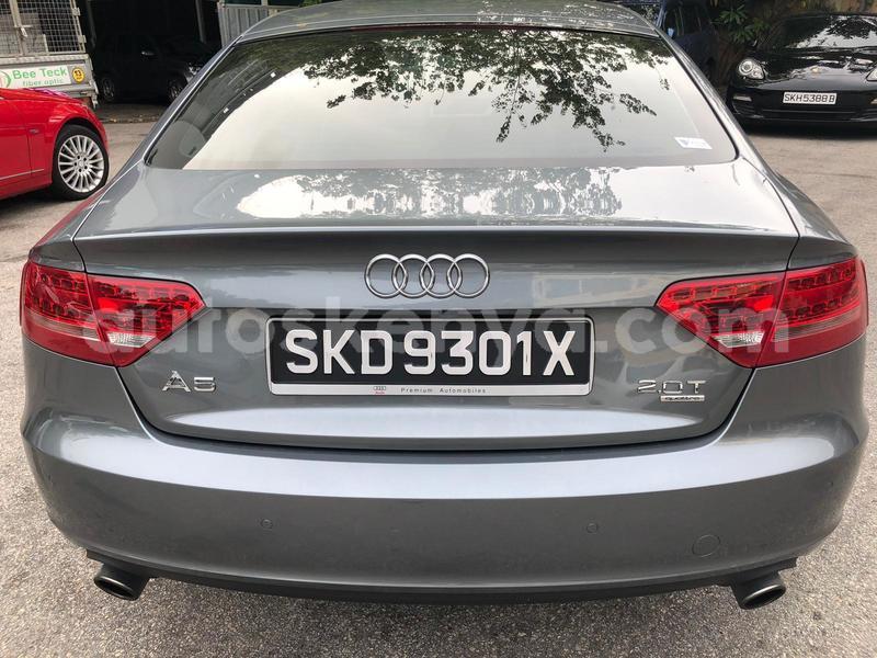 Big with watermark whatsapp image 2019 01 31 at 2.58.53 pm 1 