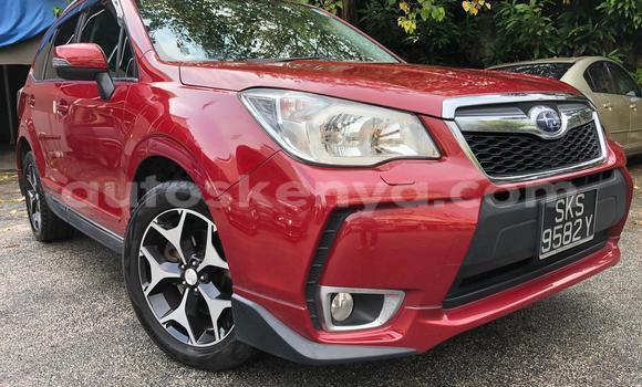 Oofamaa Subaru Forester Red Makiinaa iti Mombasa keessatti Coastal Kenya keessatti Oofamaa Subaru Forester Red Makiinaa iti Mombasa keessatti Coastal Kenya keessatti