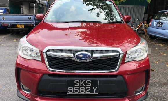 Oofamaa Subaru Forester Red Makiinaa iti Mombasa keessatti Coastal Kenya keessatti Oofamaa Subaru Forester Red Makiinaa iti Mombasa keessatti Coastal Kenya keessatti