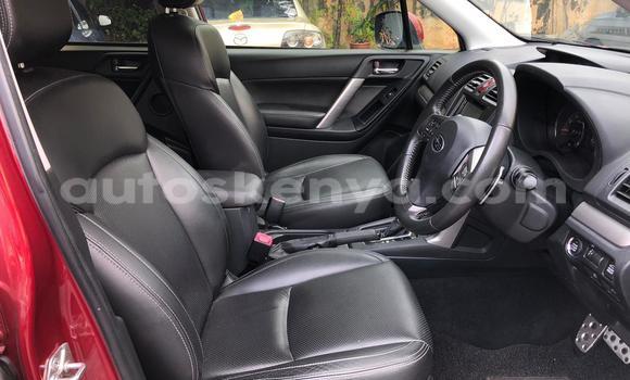 Oofamaa Subaru Forester Red Makiinaa iti Mombasa keessatti Coastal Kenya keessatti Oofamaa Subaru Forester Red Makiinaa iti Mombasa keessatti Coastal Kenya keessatti