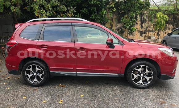 Oofamaa Subaru Forester Red Makiinaa iti Mombasa keessatti Coastal Kenya keessatti Oofamaa Subaru Forester Red Makiinaa iti Mombasa keessatti Coastal Kenya keessatti
