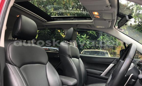 Oofamaa Subaru Forester Red Makiinaa iti Mombasa keessatti Coastal Kenya keessatti Oofamaa Subaru Forester Red Makiinaa iti Mombasa keessatti Coastal Kenya keessatti