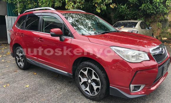 Oofamaa Subaru Forester Red Makiinaa iti Mombasa keessatti Coastal Kenya keessatti Oofamaa Subaru Forester Red Makiinaa iti Mombasa keessatti Coastal Kenya keessatti