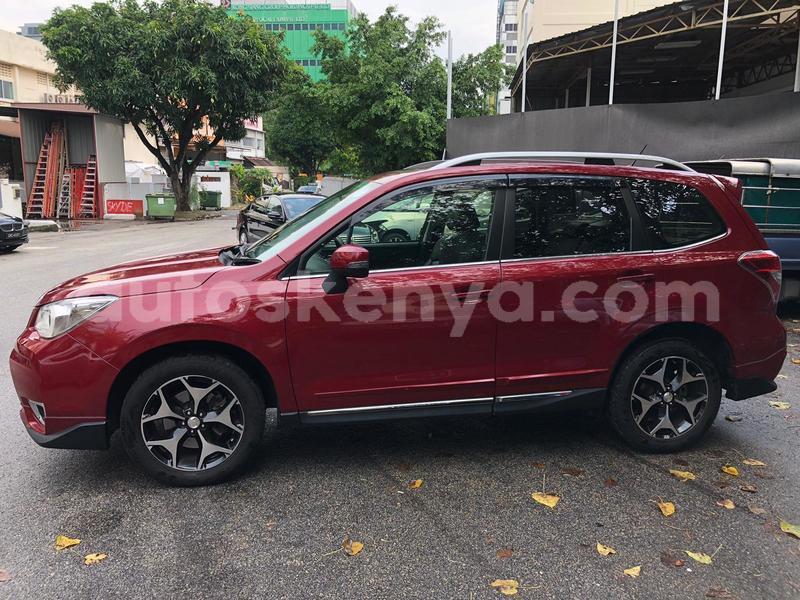 Big with watermark whatsapp image 2019 01 05 at 4.21.27 pm 1 