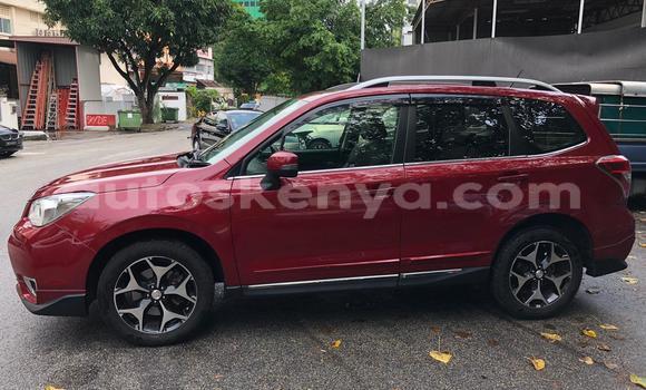 Oofamaa Subaru Forester Red Makiinaa iti Mombasa keessatti Coastal Kenya keessatti Oofamaa Subaru Forester Red Makiinaa iti Mombasa keessatti Coastal Kenya keessatti