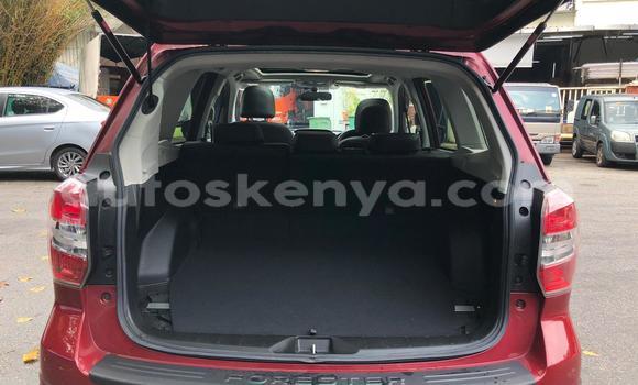 Oofamaa Subaru Forester Red Makiinaa iti Mombasa keessatti Coastal Kenya keessatti Oofamaa Subaru Forester Red Makiinaa iti Mombasa keessatti Coastal Kenya keessatti