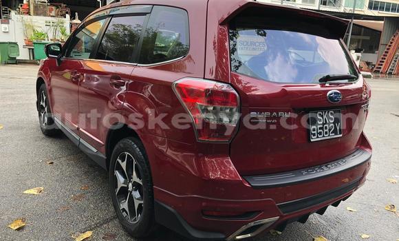 Oofamaa Subaru Forester Red Makiinaa iti Mombasa keessatti Coastal Kenya keessatti Oofamaa Subaru Forester Red Makiinaa iti Mombasa keessatti Coastal Kenya keessatti
