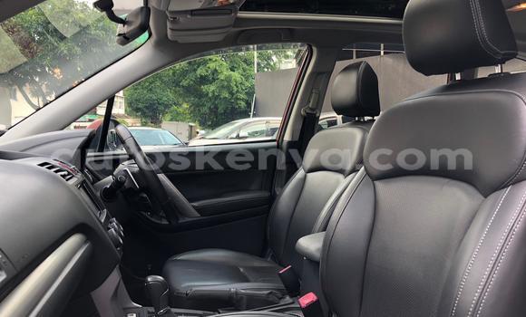 Oofamaa Subaru Forester Red Makiinaa iti Mombasa keessatti Coastal Kenya keessatti Oofamaa Subaru Forester Red Makiinaa iti Mombasa keessatti Coastal Kenya keessatti