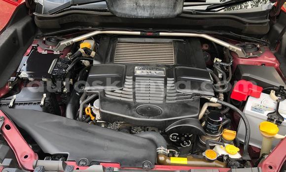 Oofamaa Subaru Forester Red Makiinaa iti Mombasa keessatti Coastal Kenya keessatti Oofamaa Subaru Forester Red Makiinaa iti Mombasa keessatti Coastal Kenya keessatti