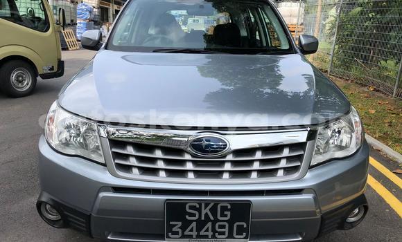Oofamaa Subaru Forester Silver Makiinaa iti Mombasa keessatti Coastal Kenya keessatti Oofamaa Subaru Forester Silver Makiinaa iti Mombasa keessatti Coastal Kenya keessatti